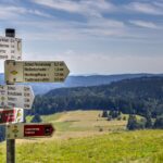 נופי היער השחור