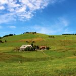 עמק מונסטר שבדרום היער השחור