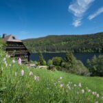 מלון אלמננהוף טיטיזי